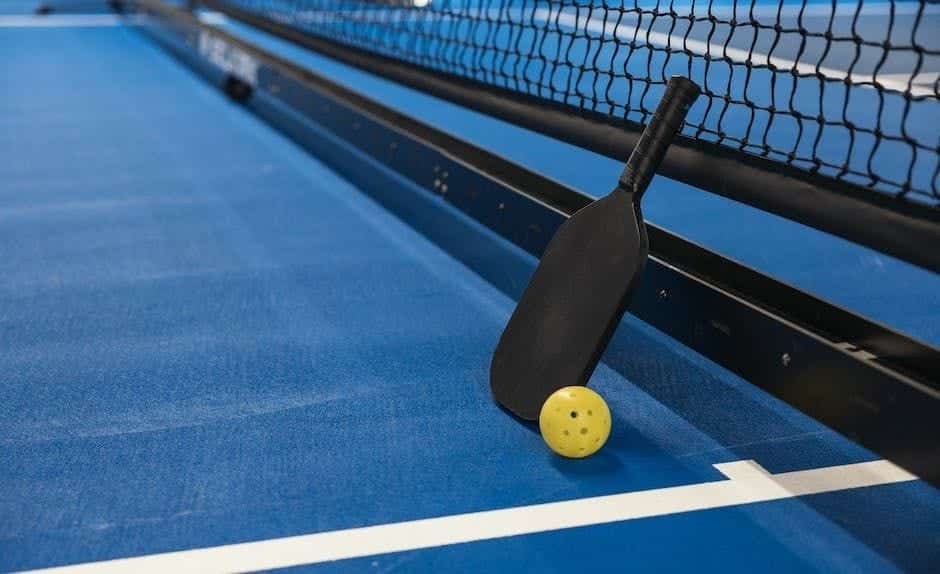 DUPR Rating for Pickleball Skill Levels