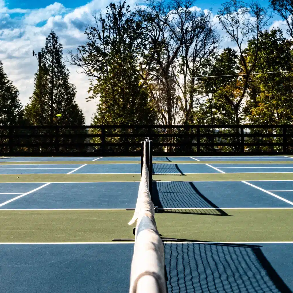  Development of the pickleball court site