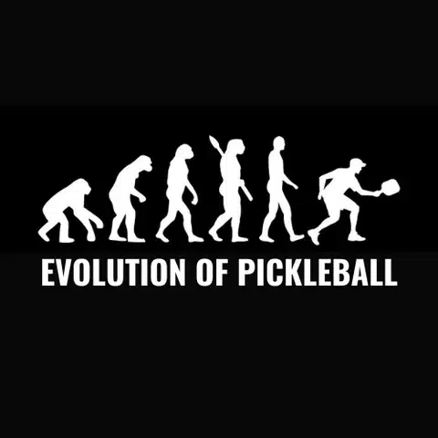 A graphic representation of the evolution of pickleball