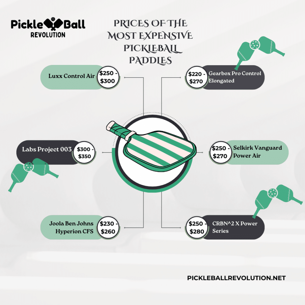 A graphical representation of the prices of most expensive pickleball paddles