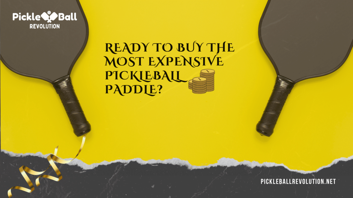 The classiest expensive pickleball paddles